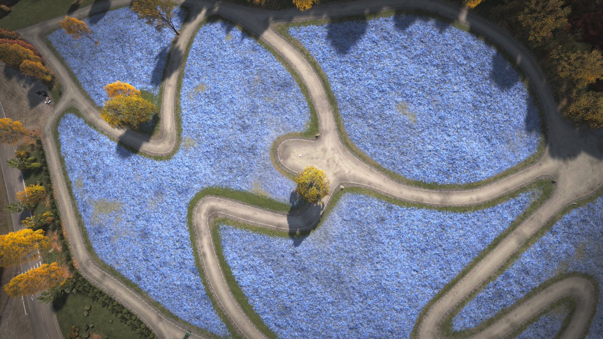 moadeep11's tweet photo. ネモフィラ #ForzaHorizon6 https://t.co/bY7YHfQ1zu