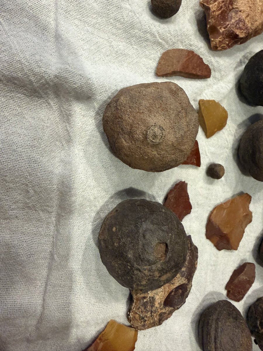 erinshieldscoy's tweet photo. Hey there, #geology friends!
I found a baggy of all these in my Father-in-law’s basement while we were cleaning stuff out. I’ve done a little bit of internet reading, but I’d LOVE some real-person insight! https://t.co/BbI3GrYYJT