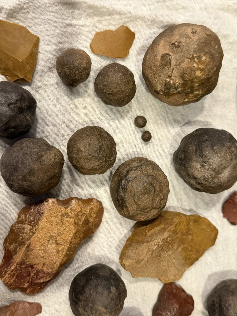 erinshieldscoy's tweet photo. Hey there, #geology friends!
I found a baggy of all these in my Father-in-law’s basement while we were cleaning stuff out. I’ve done a little bit of internet reading, but I’d LOVE some real-person insight! https://t.co/BbI3GrYYJT