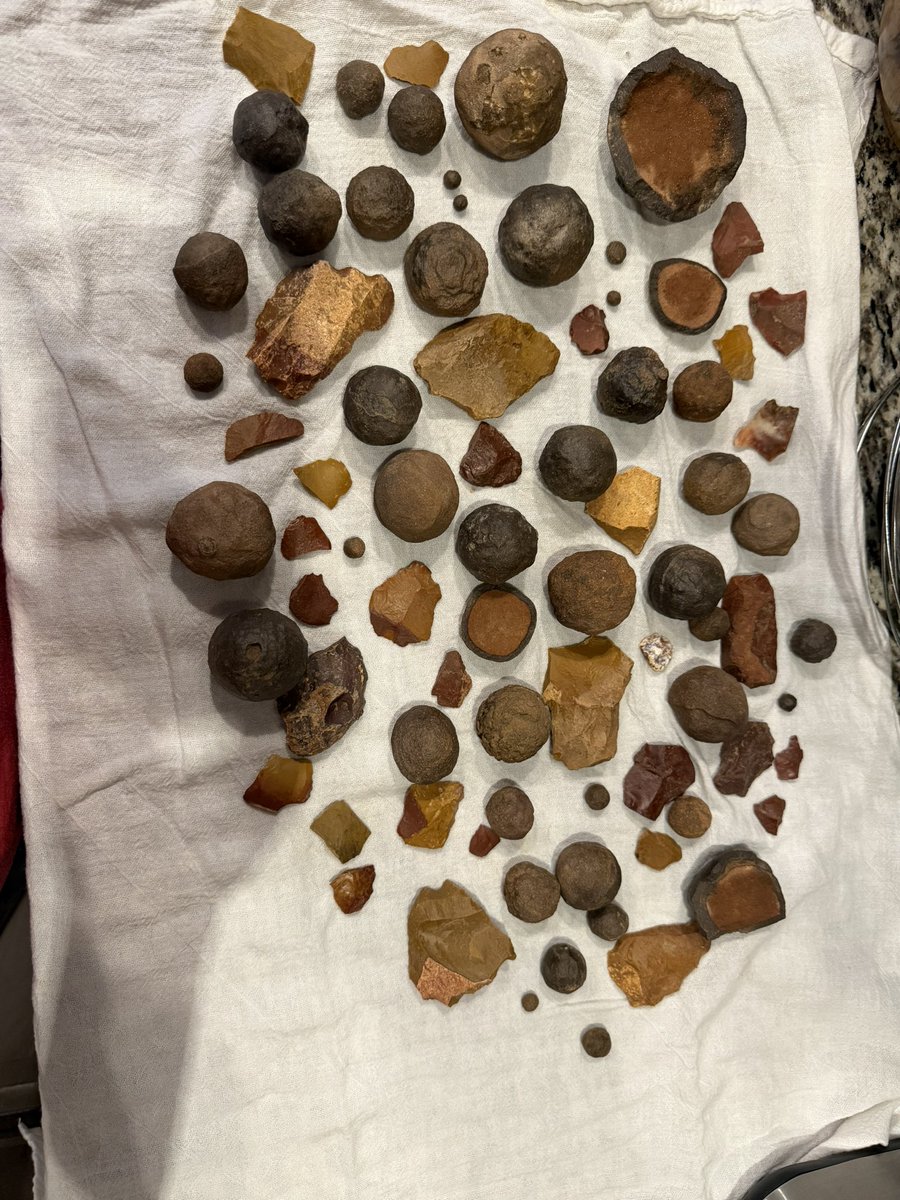 erinshieldscoy's tweet photo. Hey there, #geology friends!
I found a baggy of all these in my Father-in-law’s basement while we were cleaning stuff out. I’ve done a little bit of internet reading, but I’d LOVE some real-person insight! https://t.co/BbI3GrYYJT