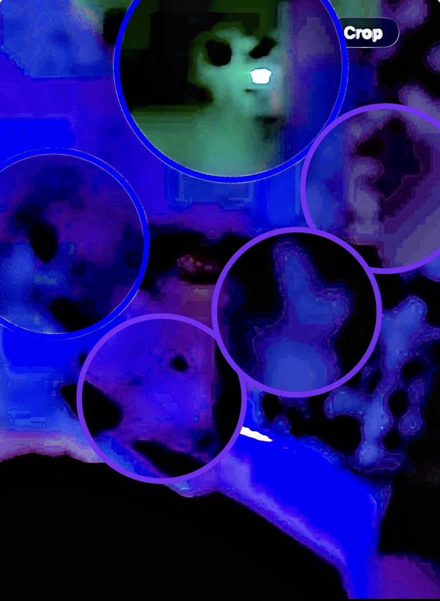 CraigPoirier's tweet photo. @sheila17_xo @InterstellarUAP A primary aspect of disclosure will be interdimensional angels planning for humanity's ascencion to 5th dimensional "Heaven on Earth" - The Great Awakening; the 3D/5D split.

Refer to my FB post for details &amp; 40+ pics/videos of angels in my backyard: https://t.co/Uy0vWWwnCN https://t.co/24ifvWWJX3
