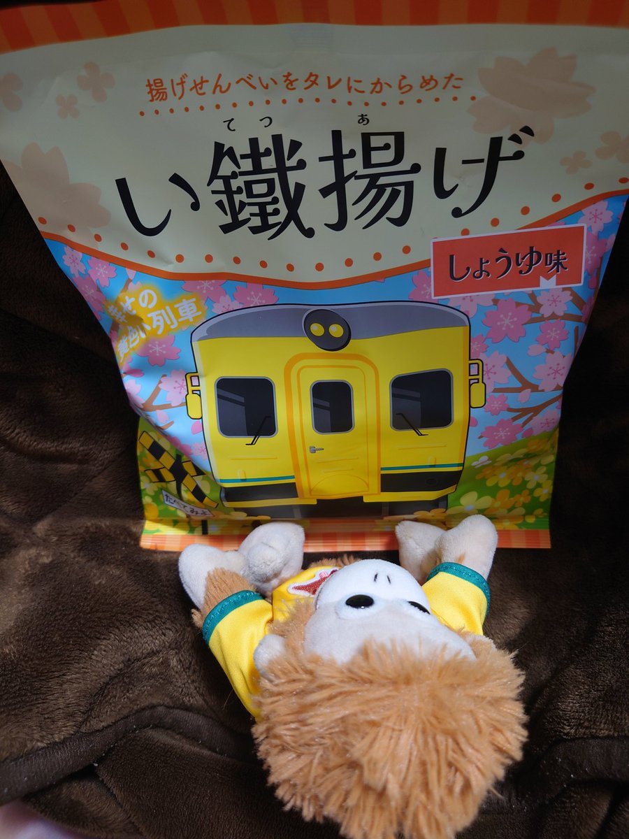 j_omio's tweet photo. 🚞📣　#ぬい撮り https://t.co/d9BF8TPFH2