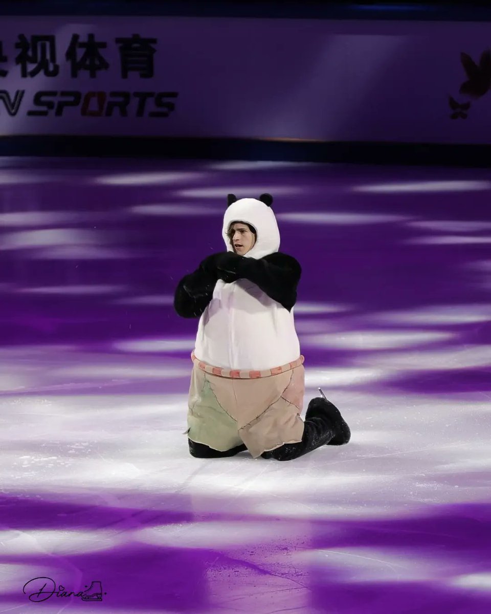 _Di_Tao_'s tweet photo. Ayo, Misha, why are you serving face when you're a panda? https://t.co/lUQKQ8L2lt