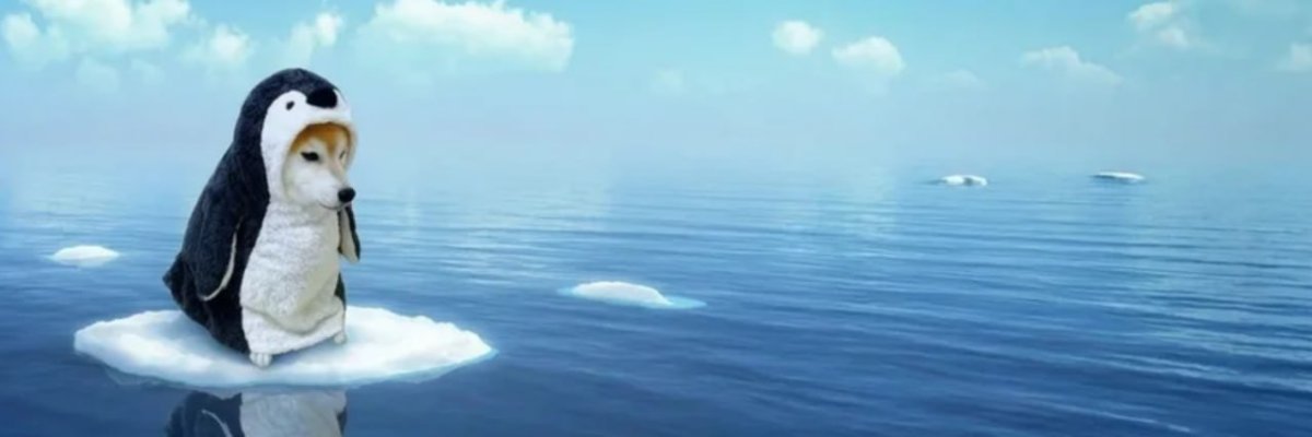 whalewatchalert's tweet photo. A community member just added a banner image for $MOMO on Moby 🖼️ https://t.co/4Q4SNFX4aL