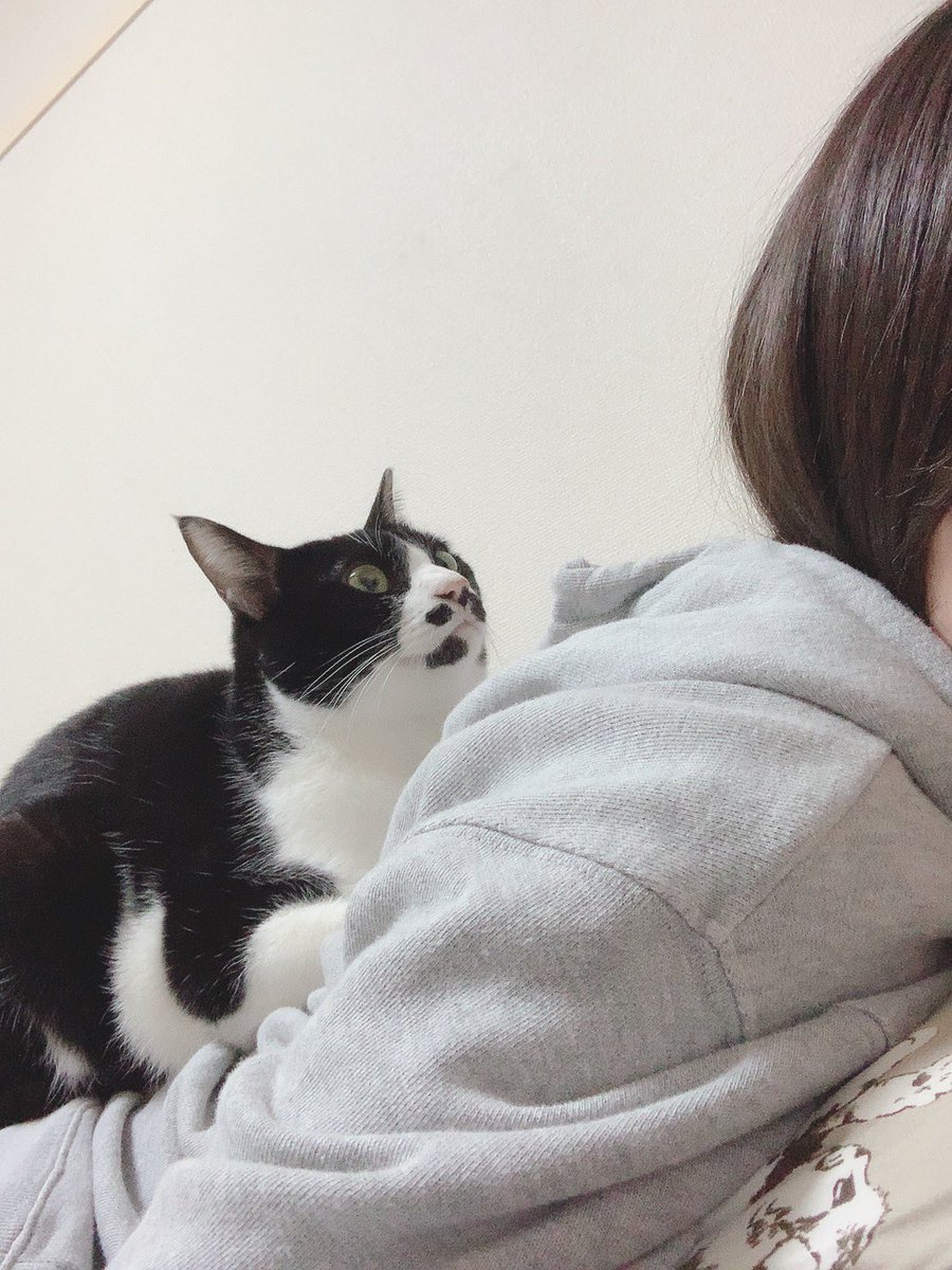 satoco_917's tweet photo. @karin__miyamoto ₺ƾ(ﾉ)•ω•(ヾ)₺ƾ https://t.co/siru2Cu5Ac