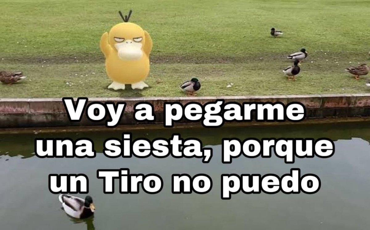 FraseSimple's tweet photo. https://t.co/744ReZbQdd
