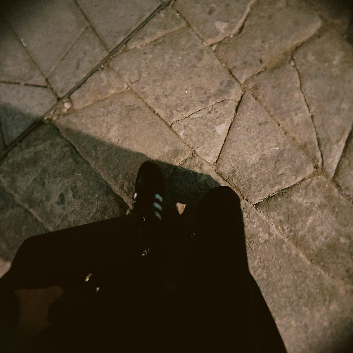 » tweet media
