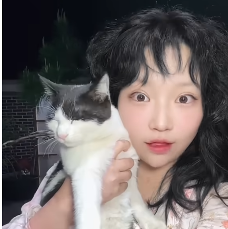 핑구돌이 tweet media
