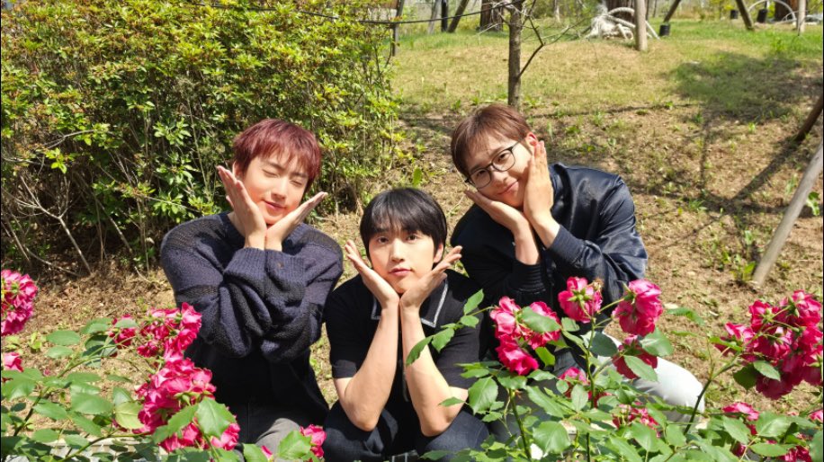 0814zip's tweet photo. 🌹🌷🐶🐥🐻🌷🌹 https://t.co/SZdM7TPScS