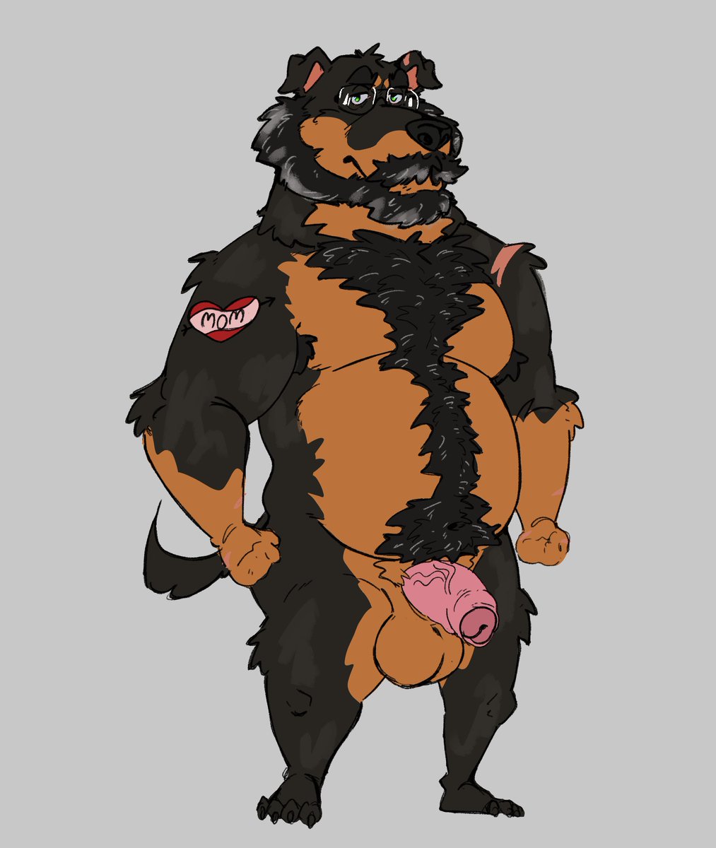 Kerim_Will's tweet photo. His name is Scar :3 https://t.co/hQo1NJIYnJ