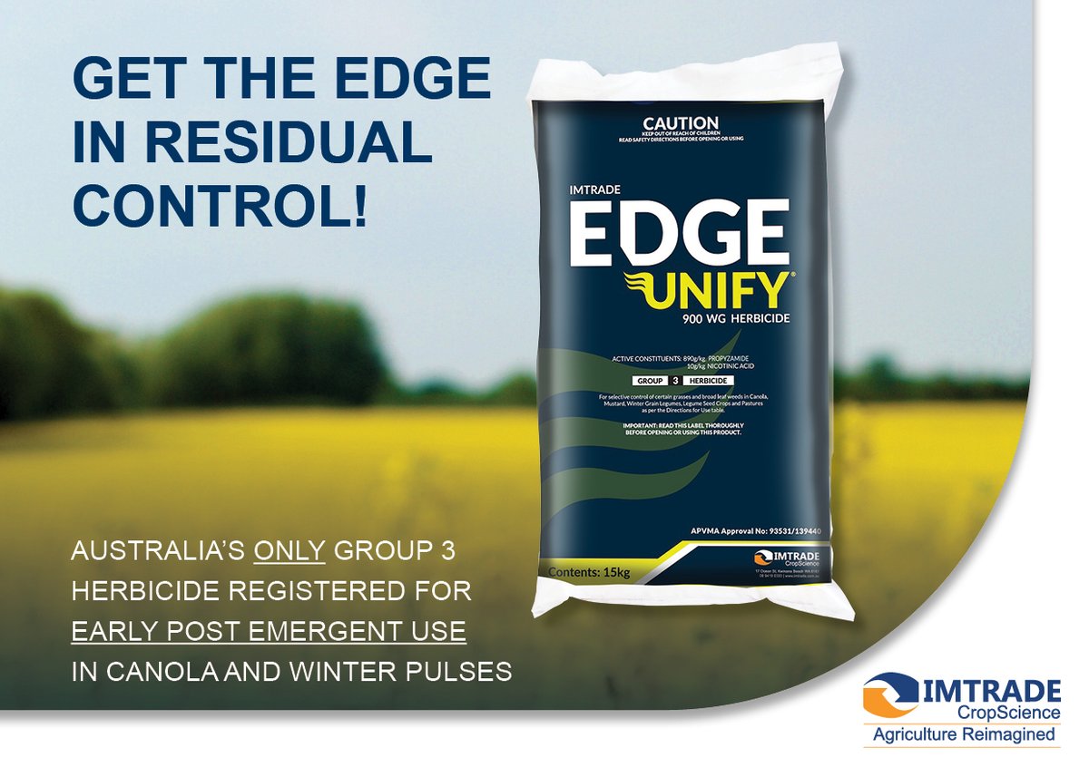 Imtrade's tweet photo. Now winter is underway, early in-crop ryegrass management is a key focus.

Edge UNIFY® 900 WG is Australia’s only Group 3 herbicide registered for Early Post-Emergent use in canola &amp; winter pulses. 
In stock now | 1800 171 799
#EdgeUnify #Ryegrass #Canola #IWM https://t.co/A6kSIg3iRB