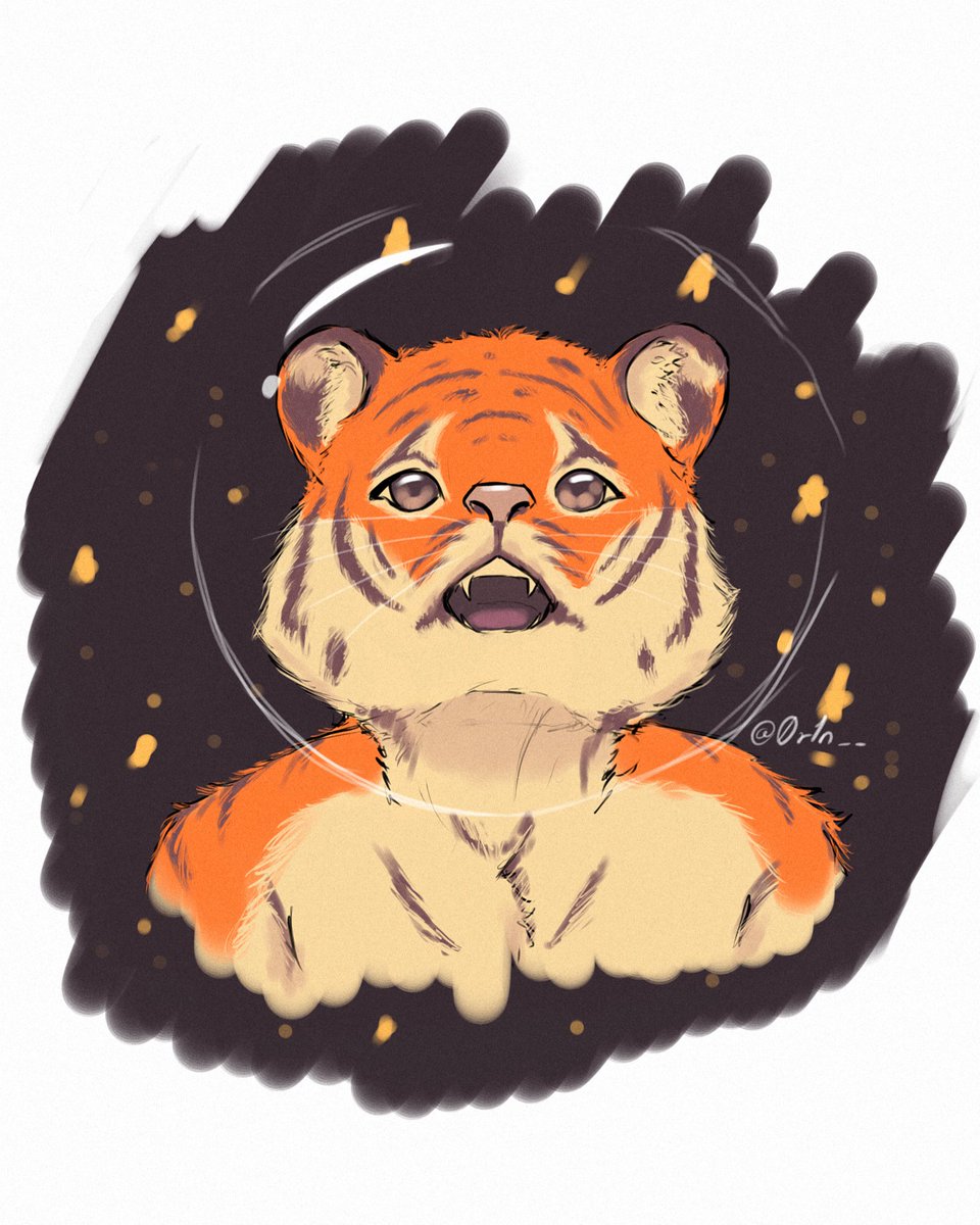 0r1n___'s tweet photo. Space cat 😺 https://t.co/vtvM35a3j1