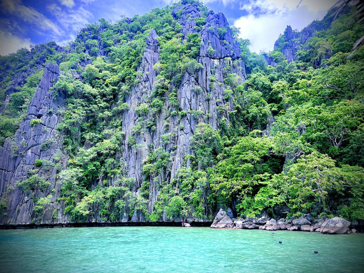 MakerInParadise's tweet photo. @aestheticsguyy https://t.co/8gSp7NcYMm