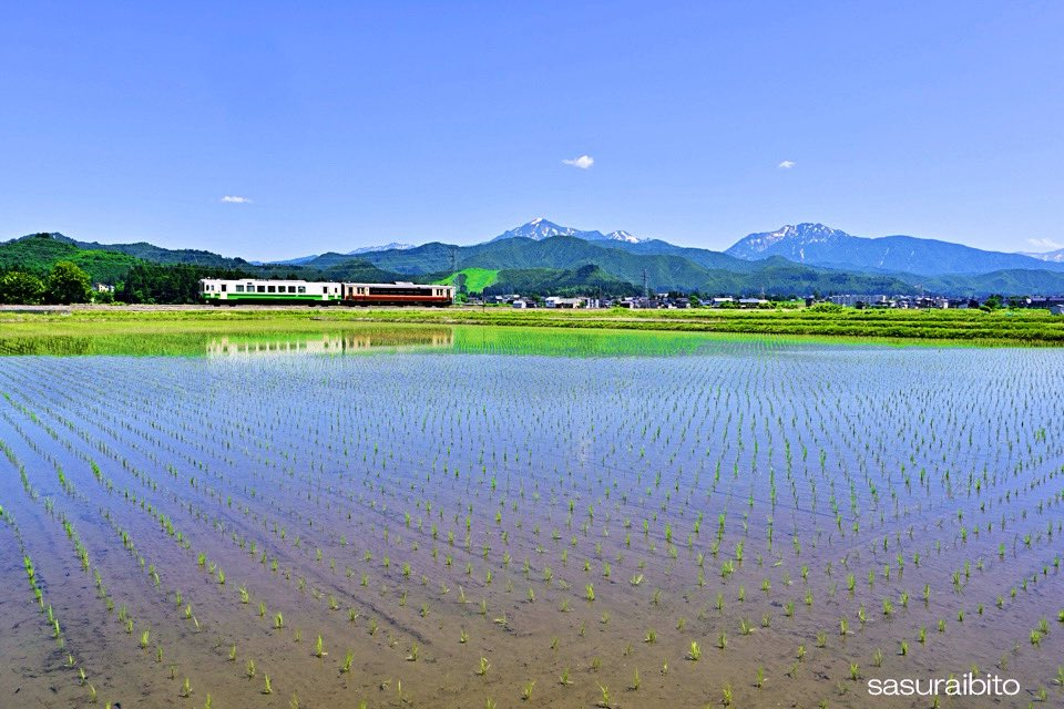 shasukene's tweet photo. 久しぶりに魚沼側で撮影地した〜
 #只見線 
 #魚沼市 https://t.co/cf0CB8h39d