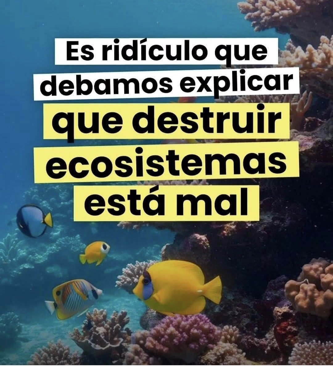 aunosojos's tweet photo. https://t.co/nvEPiwJas7