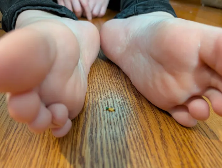 Mx_Umbriel's tweet photo. i'll provide shelter for you~
#feetfetısh #feet #giantess https://t.co/aUDUJfNDrz