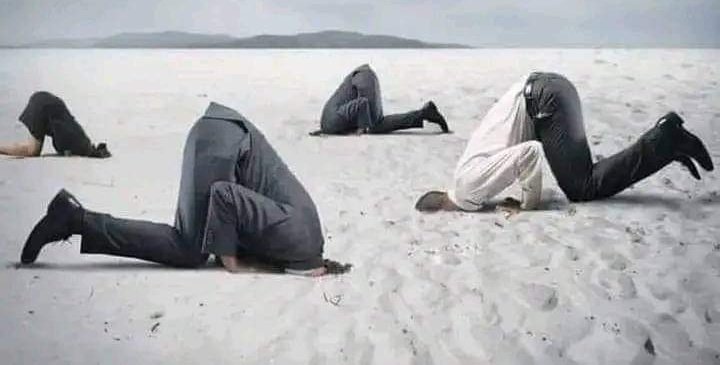 kbpoint's tweet photo. Ministers (Justice, Police, etc.) Chief Justice, National Prosecution Authority, Legal Practice Council, Public Protector, etc. Why are you hiding your heads in the sand in the face of injustice? #SenzoMeyiwaTrial has exposed lumpens who are complicit with criminality.

What now? https://t.co/yPtfuXPByN