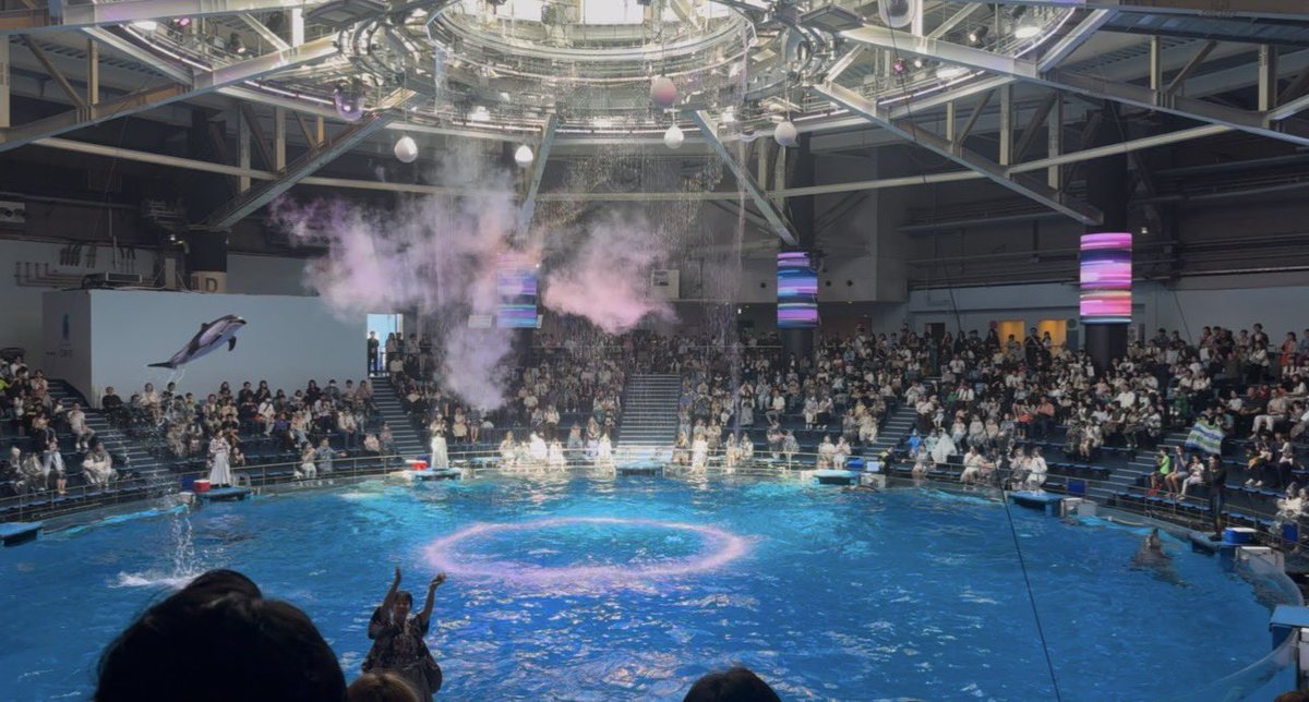 yu1_Singer's tweet photo. 春限定のイルカショー🐬結-YUIを見に行ってきました！
前に行われたプロジェクトのため、今はやっていないのですが、人と人との出会いや想いの結びをテーマにしたプログラムで名前を見て親近感が湧きました🤣

私のライブも人と人との繋がりがテーマになっています🙂✨
詳細は固定ツイートを見てね🧐 https://t.co/zVoPcAa3Bz