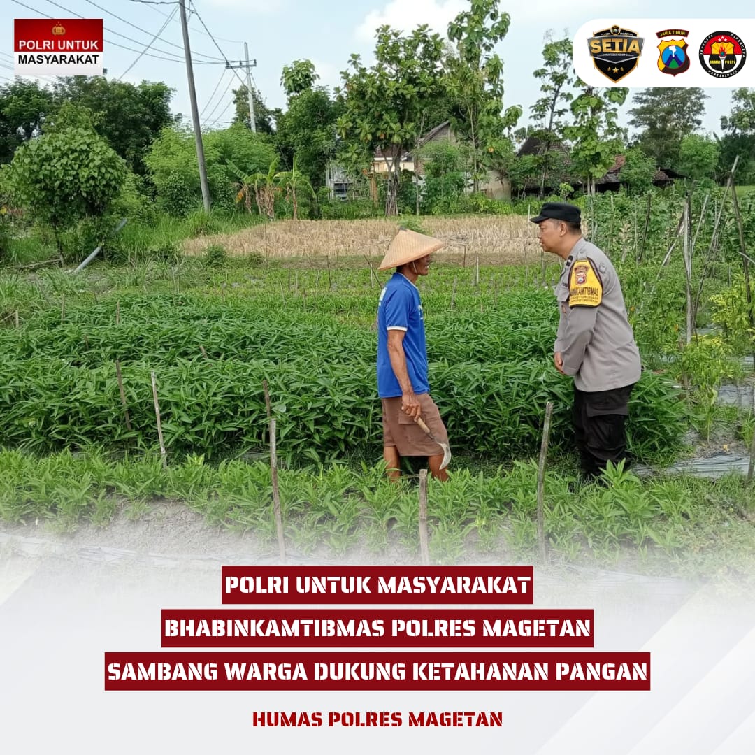 siepram1's tweet photo. Bhabinkamtibmas Ds. Nguntoronadi Magetan sambang lahan sawah warga di desa binaan dan sharing kendala yang di hadapi dalam perawatan 
#astacita #swasembadajagung #ketahananpangan #polisicintapetani #ssdmpolri #divhumaspolri #polresmagetan #magetan #poldajatim #birosdmpoldajatim https://t.co/HzvBTAmKBE