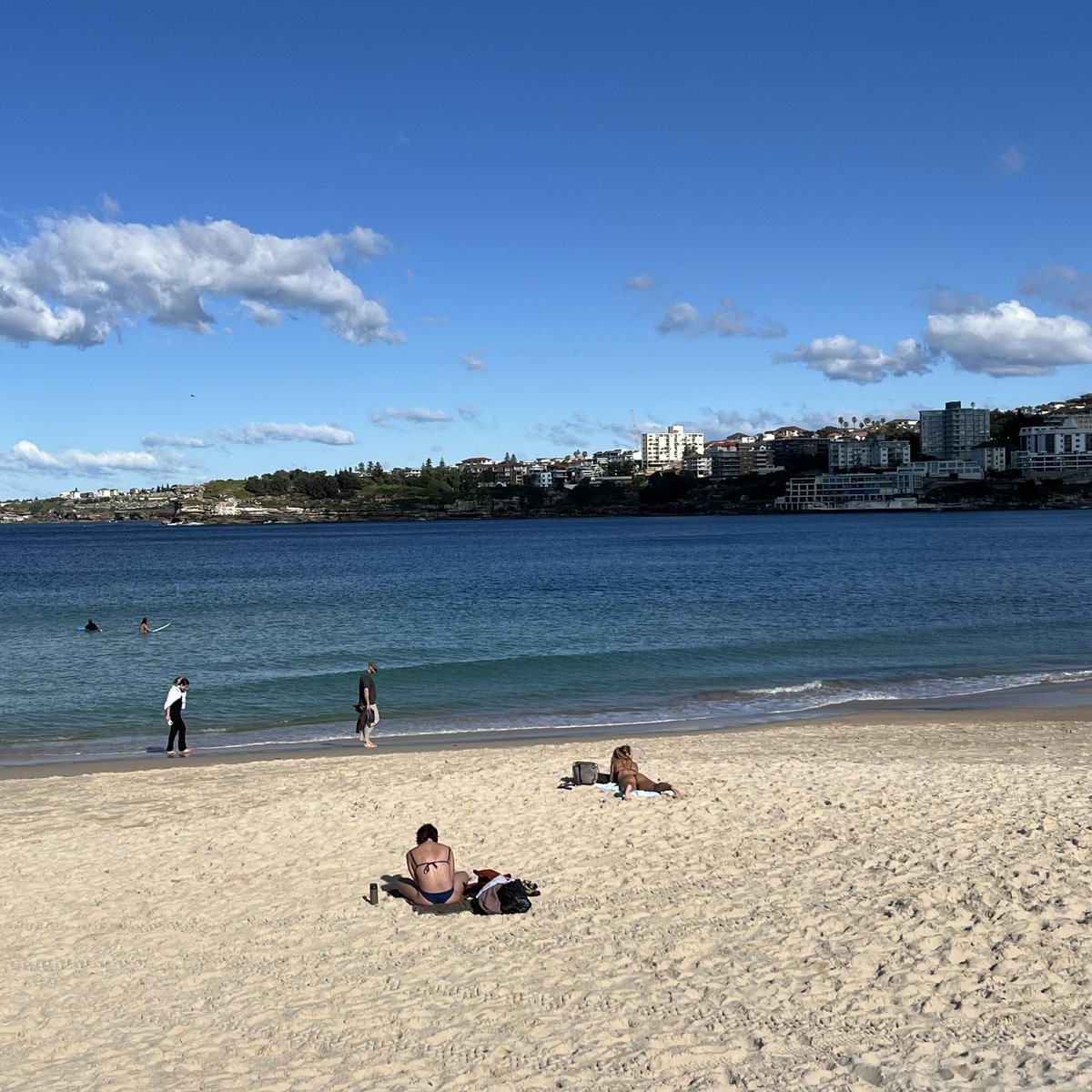 robbosal's tweet photo. Wednesday: Wall says 18.6C. Felt like closer to 20. Lake Bondi 2.5k #bondilaps https://t.co/cFOBuLgNcF