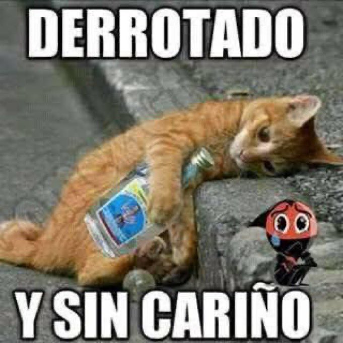 ruido tweet media