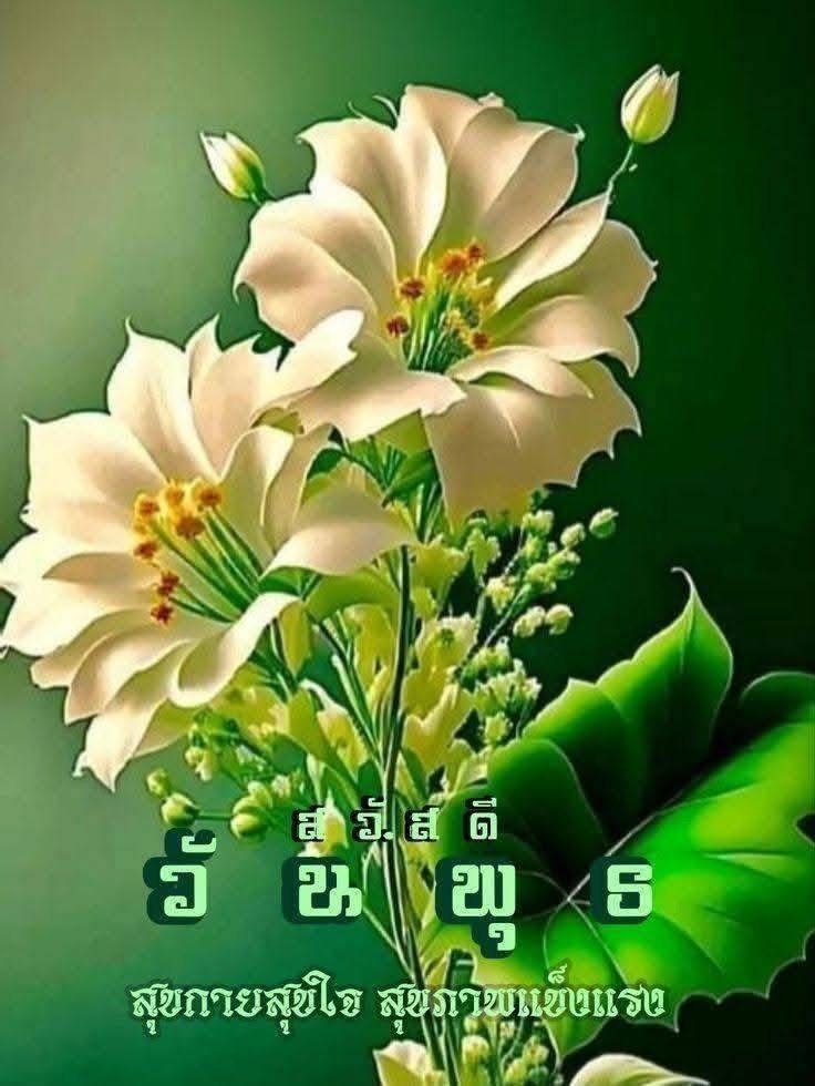 wonvimol's tweet photo. @E21ptcE https://t.co/4ExL9bSh8u