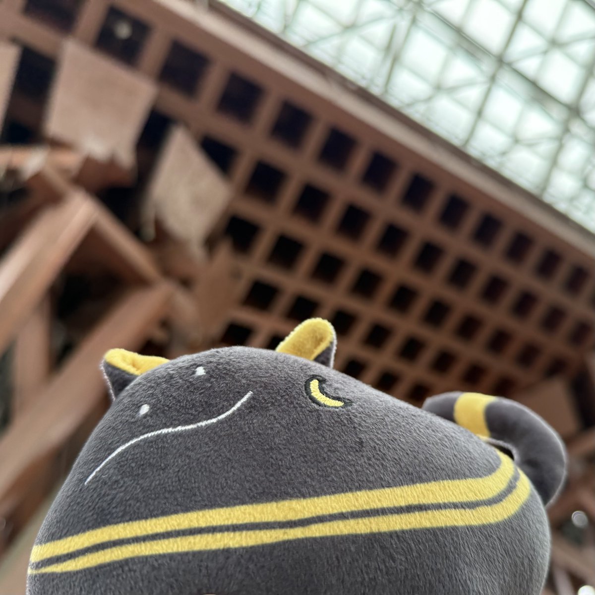バステトちゃん金沢着いたよ！ 雨止んでて良かったね? #217find #ばす 