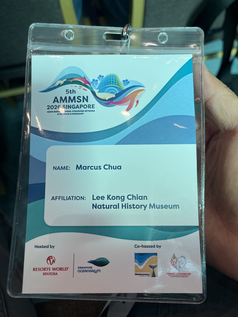 marcuschua's tweet photo. At the Asian Marine Mammal Stranding Network symposium and workshop.

Keynote by Lemnuel Aragones highlighted the increasing trend of marine mammal stranding in Asia.

A high proportion (vs. world average; 5–15%) are live stranding—80% in 🇵🇭. https://t.co/snCnw72pVG