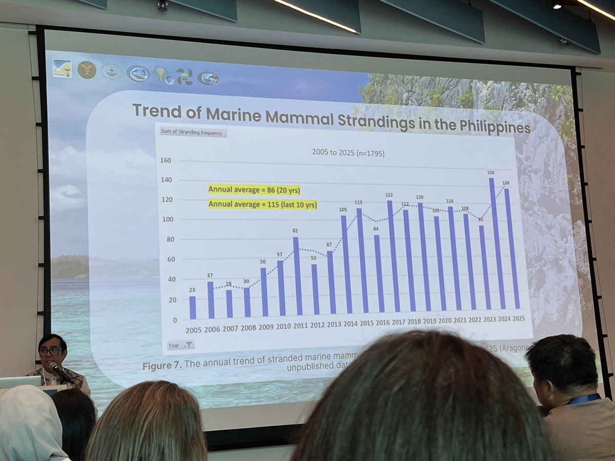 marcuschua's tweet photo. At the Asian Marine Mammal Stranding Network symposium and workshop.

Keynote by Lemnuel Aragones highlighted the increasing trend of marine mammal stranding in Asia.

A high proportion (vs. world average; 5–15%) are live stranding—80% in 🇵🇭. https://t.co/snCnw72pVG