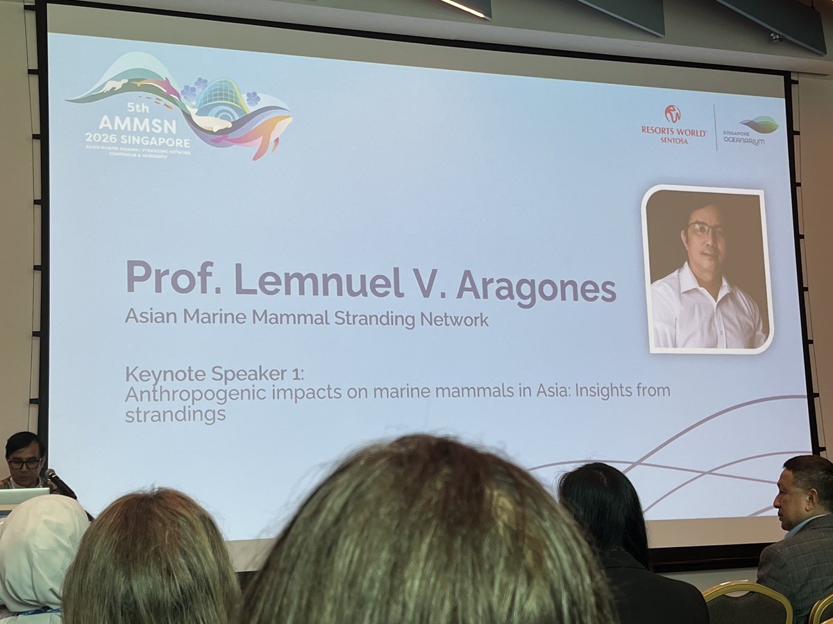 marcuschua's tweet photo. At the Asian Marine Mammal Stranding Network symposium and workshop.

Keynote by Lemnuel Aragones highlighted the increasing trend of marine mammal stranding in Asia.

A high proportion (vs. world average; 5–15%) are live stranding—80% in 🇵🇭. https://t.co/snCnw72pVG