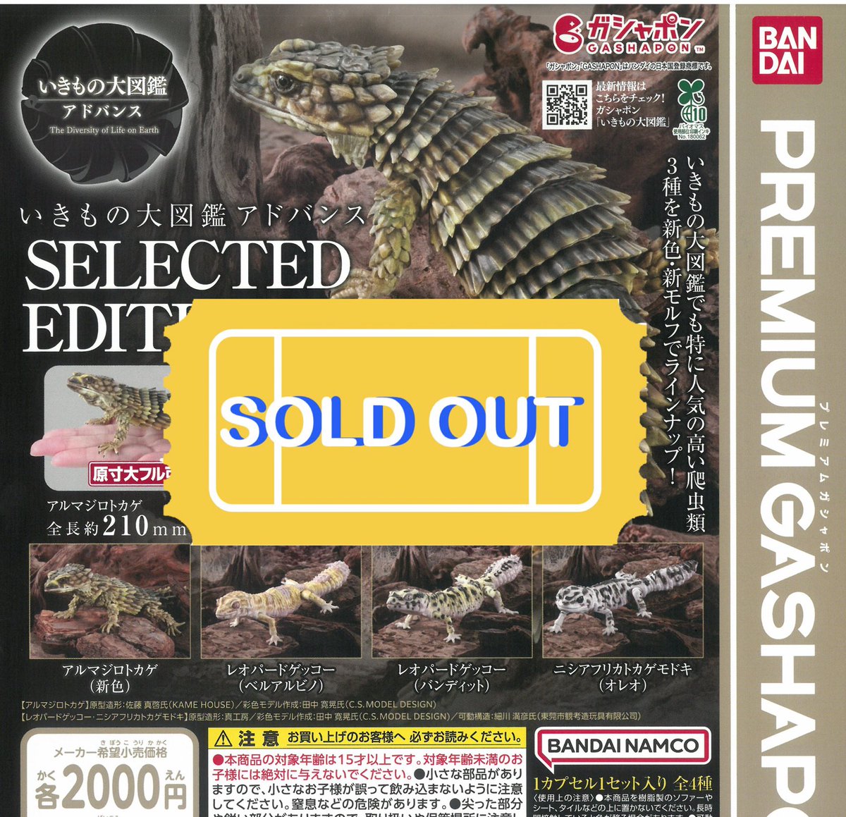 ❌🙇‍♀️6/3(水)完売のお知らせ🙇❌ 🦎いきもの大図鑑アドバンス