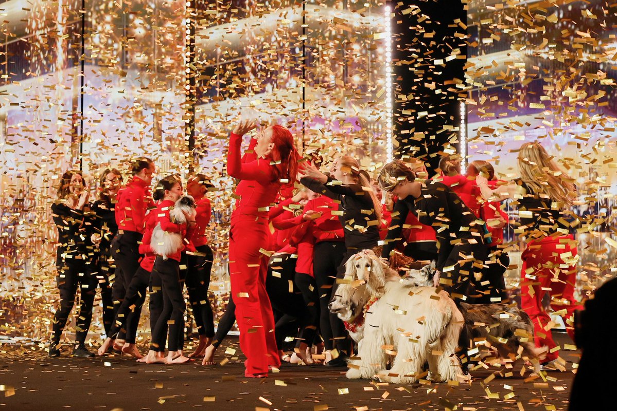 terrycrews's tweet photo. THAT GOT MY HEART SO GOOD!!! ❤️🐶🔥 I've seen a lot on the #AGT stage over the years, but Acro Canine Crew brought something truly special. What an honor to give them my Golden Buzzer. Welcome to the next round, Acro Crews!!! 💛✨ https://t.co/KpnEddyL3x