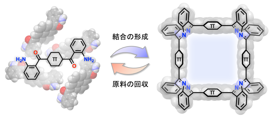 IMS1975's tweet photo. 【プレスリリース｜Journal of the American Chemical Society】 
π共役分子を正方形に組み上げる新手法を開発
―酸で原料に戻せる分子設計を実現―
（瀬川泰知グループ）

詳細はこちら↓ 
https://t.co/PUOnKhY6Ur https://t.co/832zako7yd