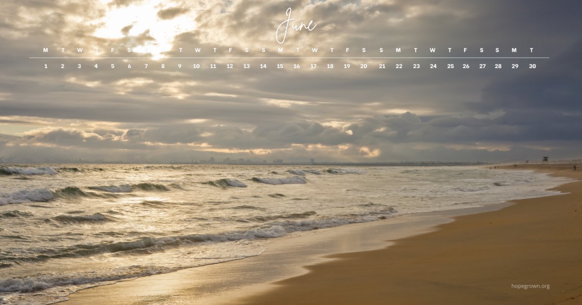hopegrown's tweet photo. This month’s free June 2026 calendar wallpapers are a love letter to that feeling of spaciousness, all tied together by one simple theme: letting the ocean teach us how to move through the month with more ease and more joy🌊

https://t.co/rZHfDyMTfk https://t.co/T4ZrzsalEr