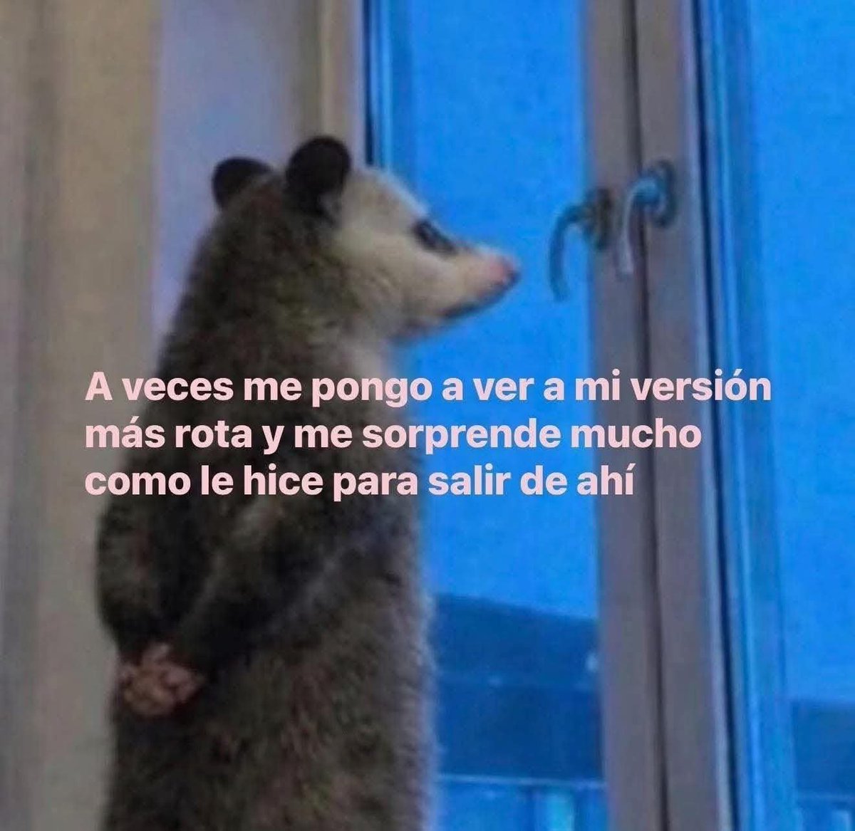 eldolardiario's tweet photo. https://t.co/xLB0oIVZHF