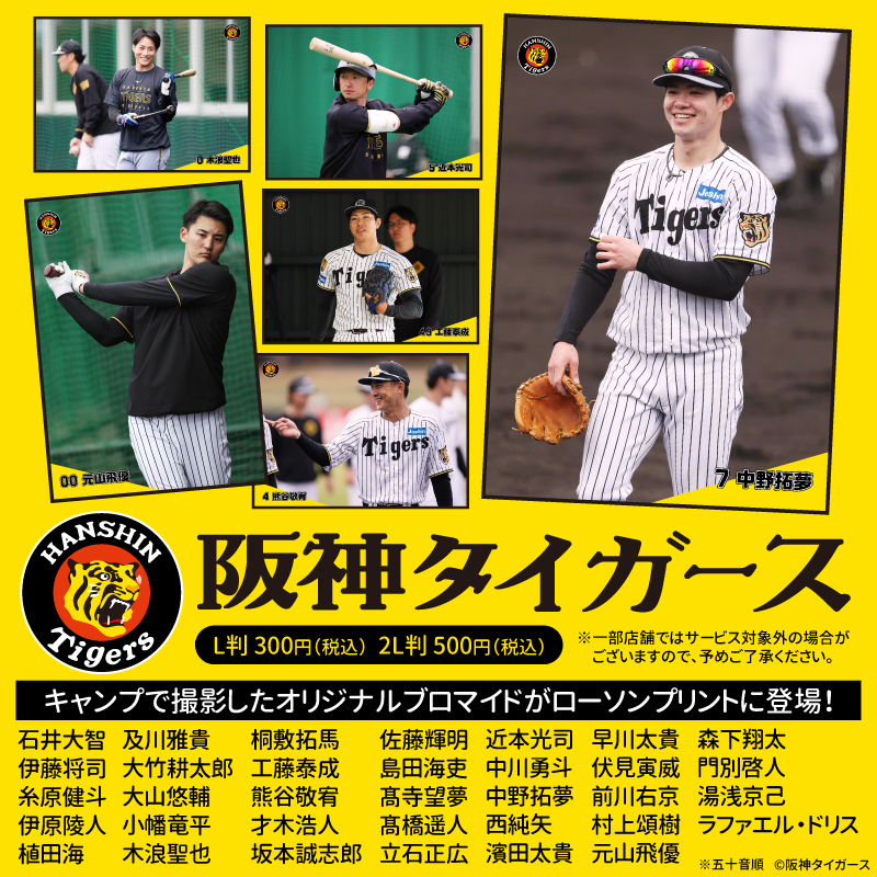 阪神タイガース」2026年のキャンプで撮影したオリジナルブロマイドが