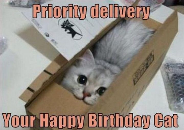 hammerslibrary's tweet photo. @MagdaleneXXX Belated best birthday wishes... https://t.co/P8Mo3YjNSA