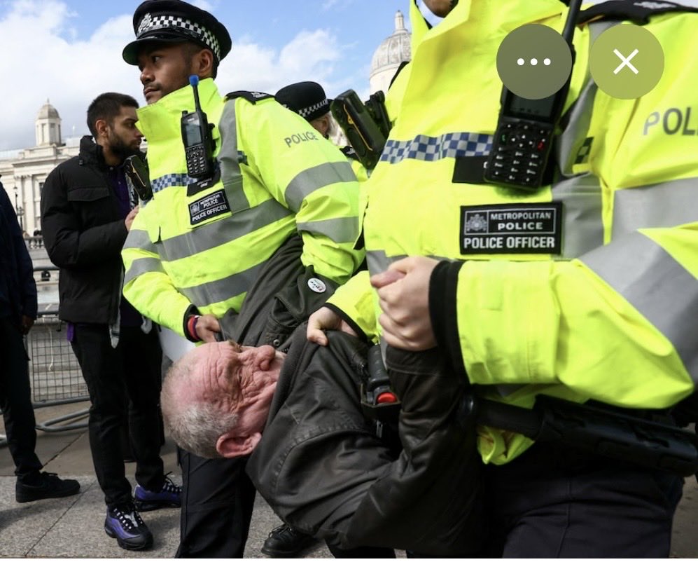 Goloonie's tweet photo. @Taj_Ali1 Seems that Nazi salutes are acceptable behaviour in the UK. But try peacefully protesting against ğènøçide…… https://t.co/l5qmf24qw2