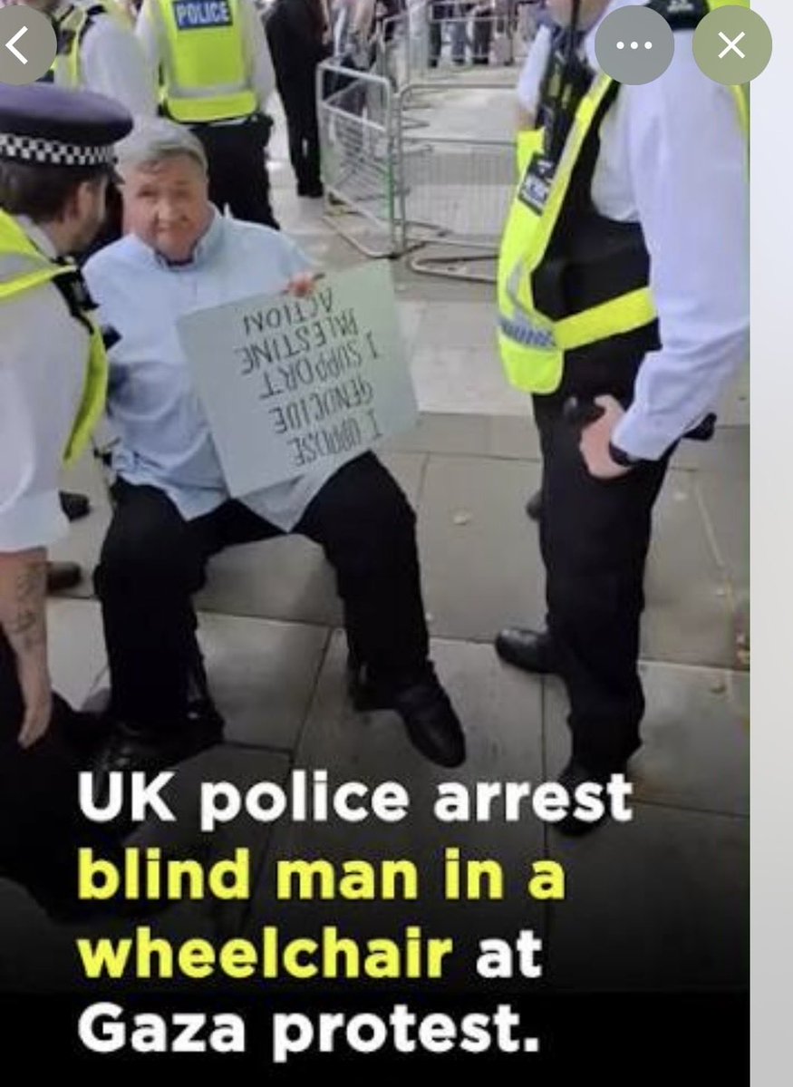 Goloonie's tweet photo. @Taj_Ali1 Seems that Nazi salutes are acceptable behaviour in the UK. But try peacefully protesting against ğènøçide…… https://t.co/l5qmf24qw2