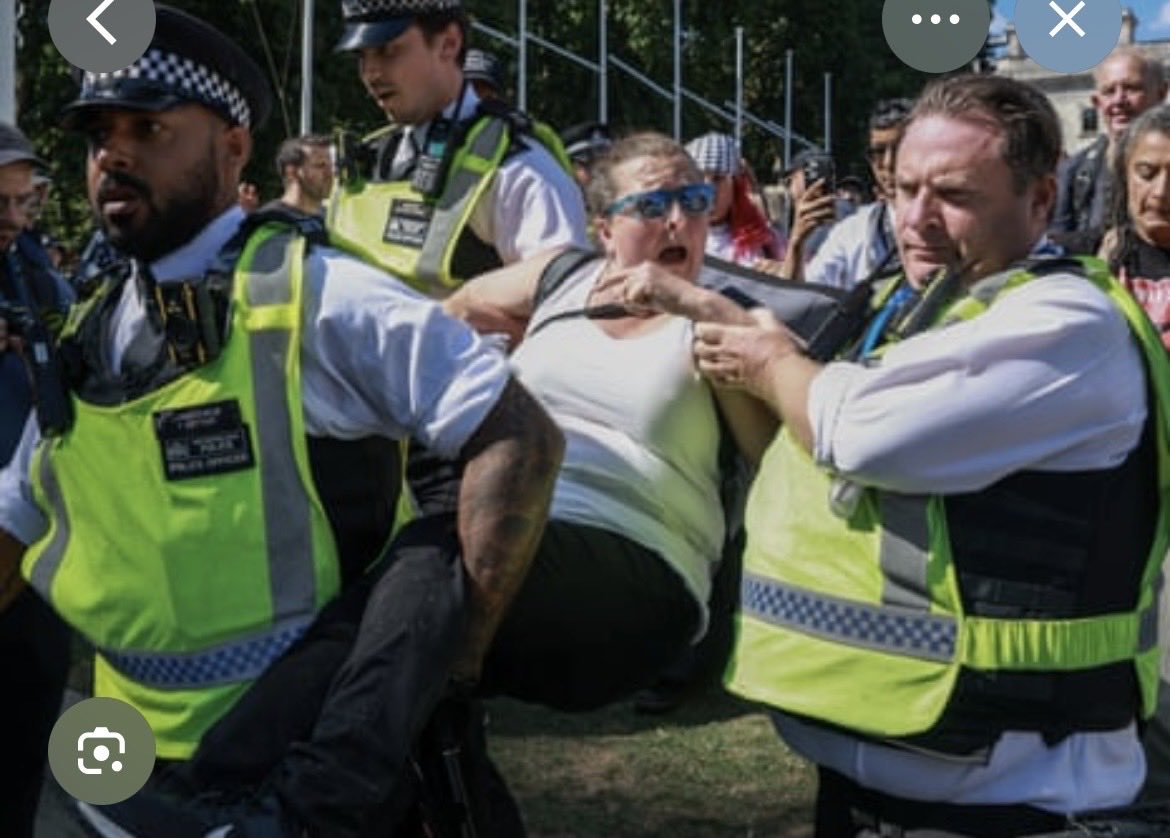 Goloonie's tweet photo. @Taj_Ali1 Seems that Nazi salutes are acceptable behaviour in the UK. But try peacefully protesting against ğènøçide…… https://t.co/l5qmf24qw2