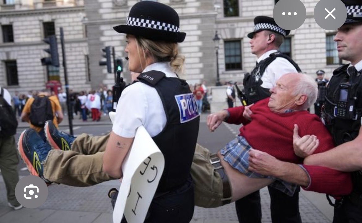 Goloonie's tweet photo. @Taj_Ali1 Seems that Nazi salutes are acceptable behaviour in the UK. But try peacefully protesting against ğènøçide…… https://t.co/l5qmf24qw2