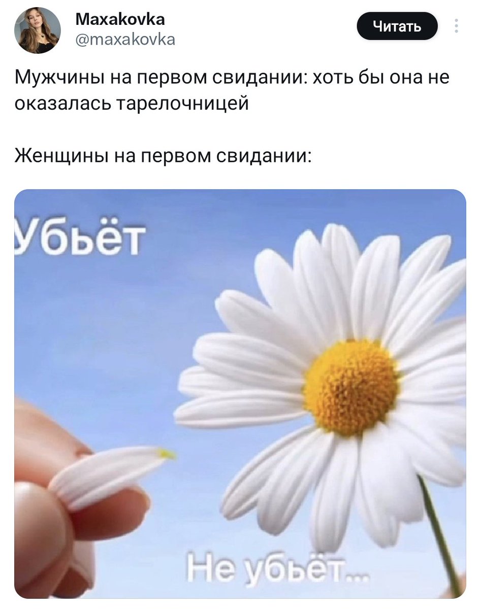 Ноющая Булочка tweet media