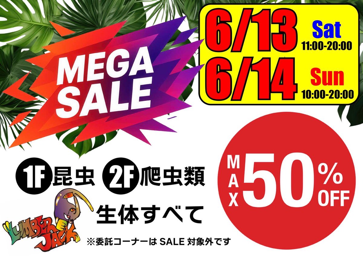 SALE告知】 6月13日土曜日、14日日曜日の2日間で店舗にてSALEを開催し
