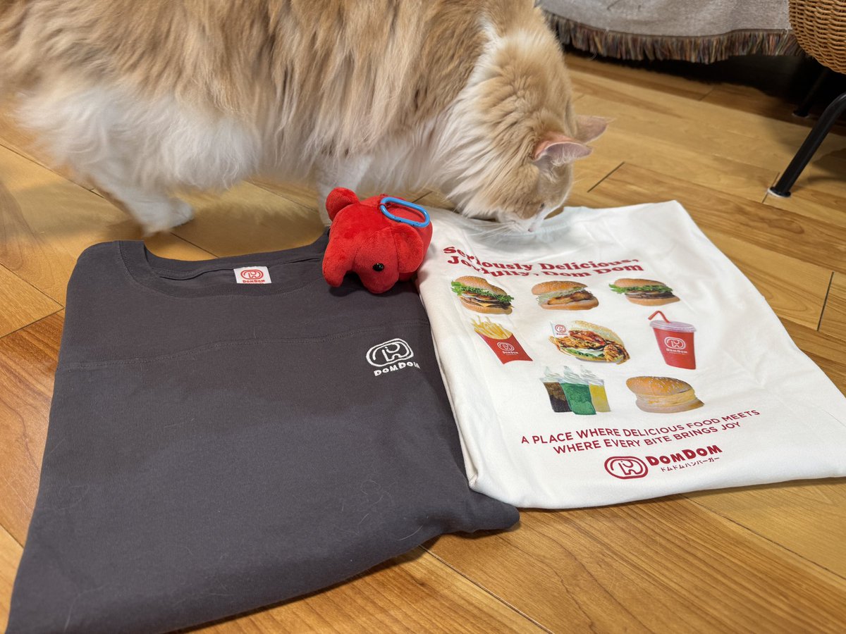 zion_rokusho's tweet photo. インスタ見て急いでcoenに行き
Tシャツとぬいキーget
#ドムドムハンバーガー #ドム活 https://t.co/TBu2wzSHW1