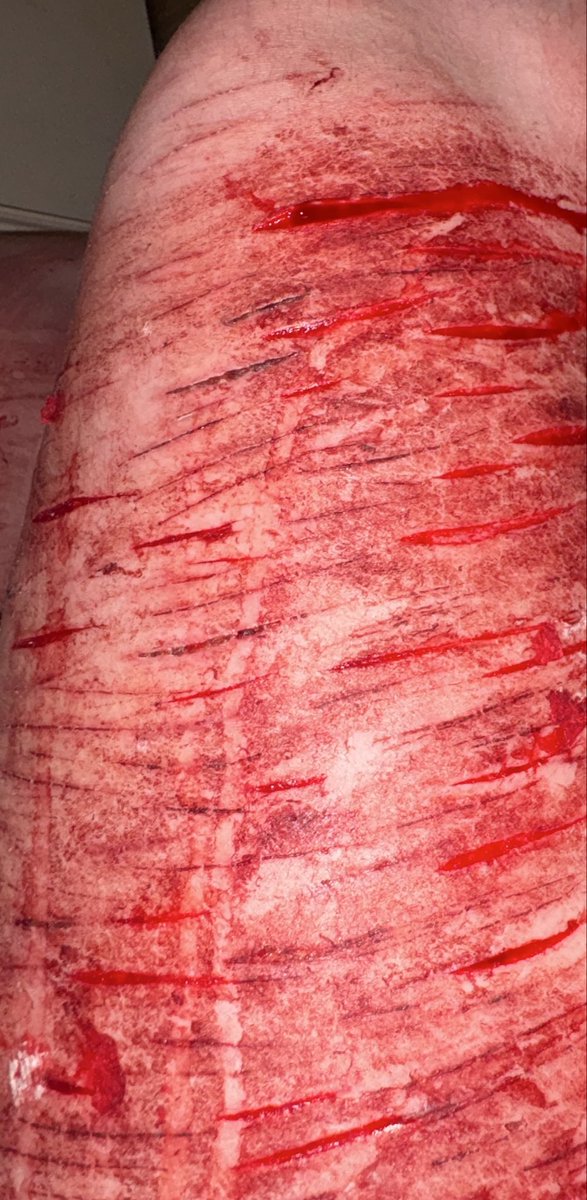 aeve of shtwt🔪 tweet media