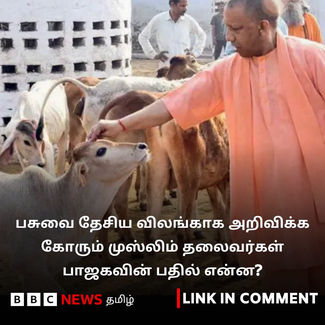 syed2029's tweet photo. பாஜக அரசே அந்த சட்டத்தை ஏற்றினால் பாஜகவினரால் மாட்டிறைச்சி ஏற்றுமதி செய்யமுடியாது என்பதால் பசுவை தேசிய விலங்காக அறிவிக்காது ஒன்றிய பாஜக. https://t.co/cWi6MM3WNz