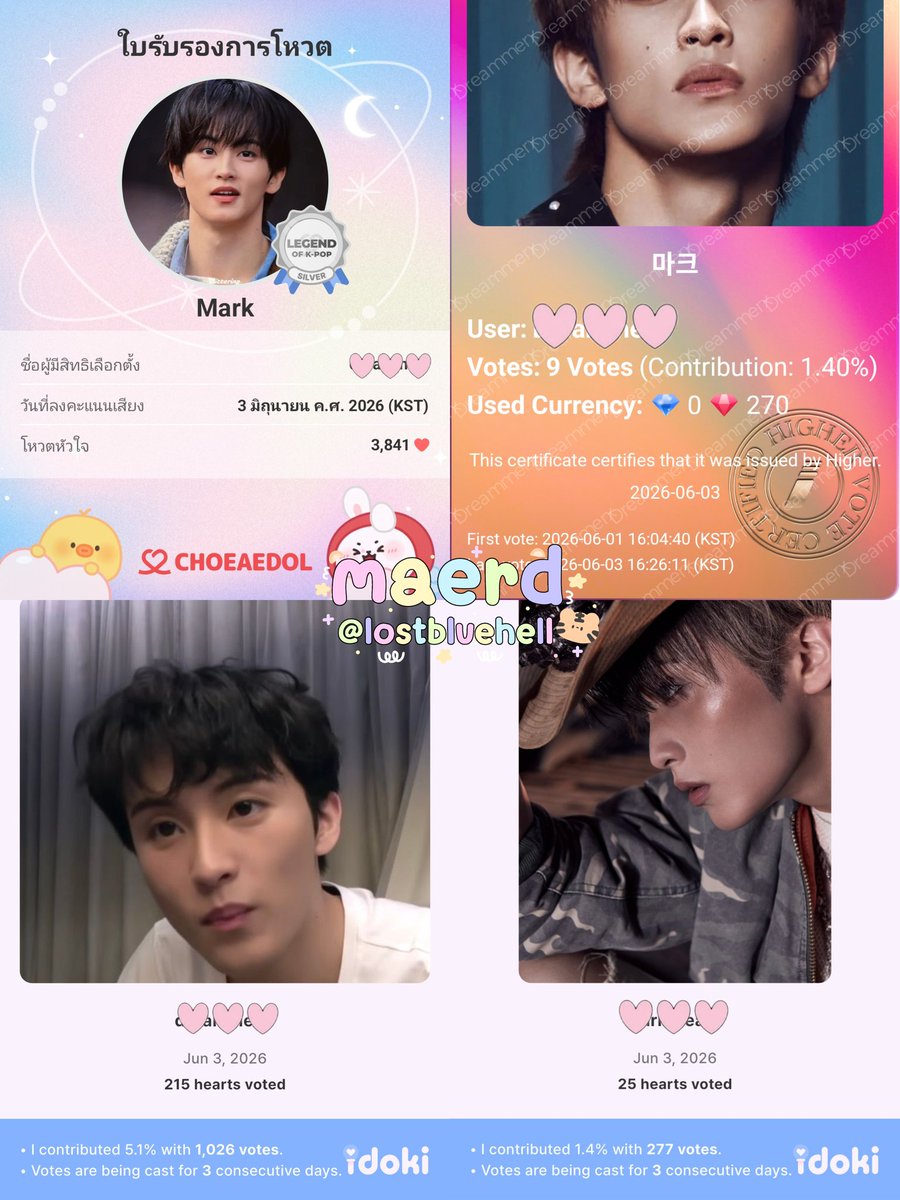 lostbluehell's tweet photo. Birthday check🎂🐯

#มาร์คพึโหวต
#โหวตมาร์คลี
#VoteForMark
#VoteForMarkLee https://t.co/eLPibExKDO