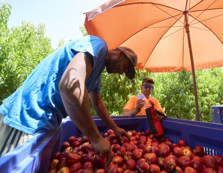 CoopsAgroAND's tweet photo. 📢El paro en agricultura baja un 2%

👉La afiliación al Sistema Especial Agrario sube un 3%

🌐https://t.co/FAj0ktGf3f https://t.co/5NEIA7QHnt