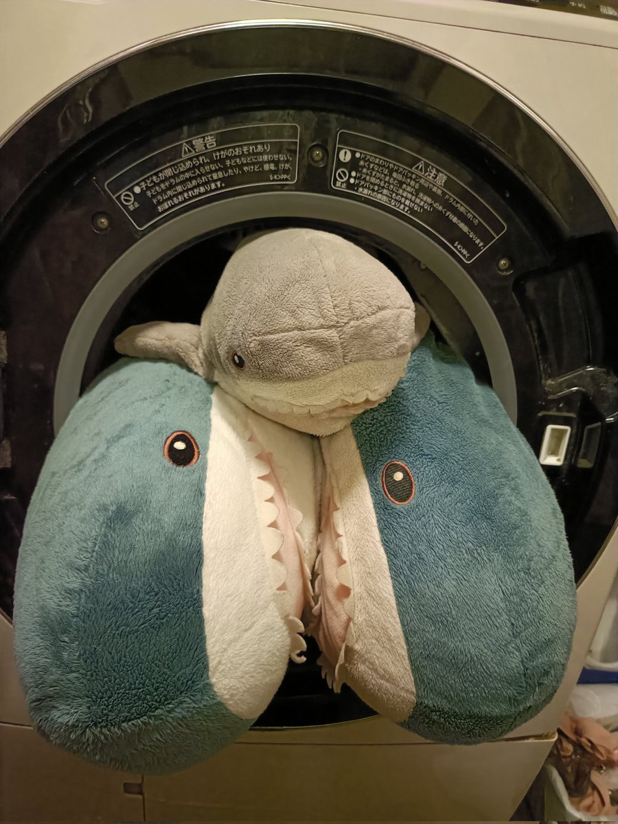kiku_whaleshark's tweet photo. おぃおぃ、この宇宙船は1人乗りじゃないのか狭いぞ～
#IKEAサメ #blahaj #smahaj https://t.co/EniVoCEdPH