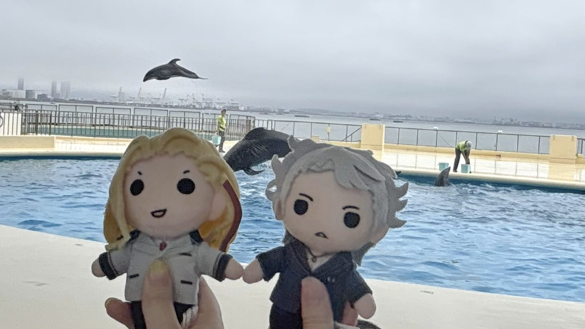 sij____'s tweet photo. 🐬🫧 https://t.co/hzPkW90Wgn